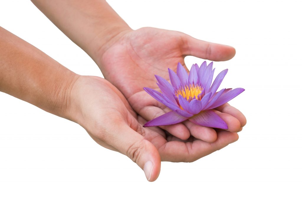 Young man holding purple lotus in his palm with clipping path
